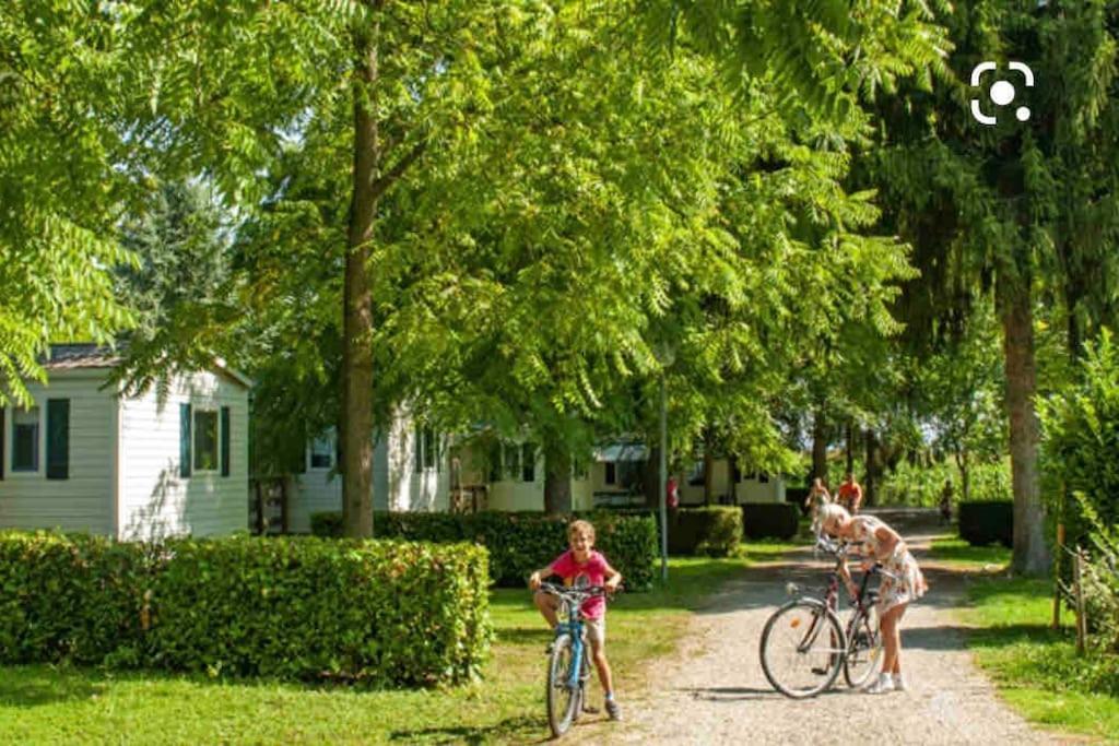 Location Mh Situee A 15 Mn D Europa Park Et Rulantika Daire Boofzheim Dış mekan fotoğraf