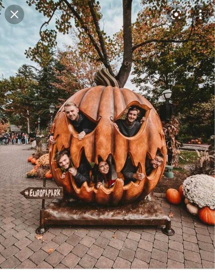 Location Mh Situee A 15 Mn D Europa Park Et Rulantika Daire Boofzheim Dış mekan fotoğraf