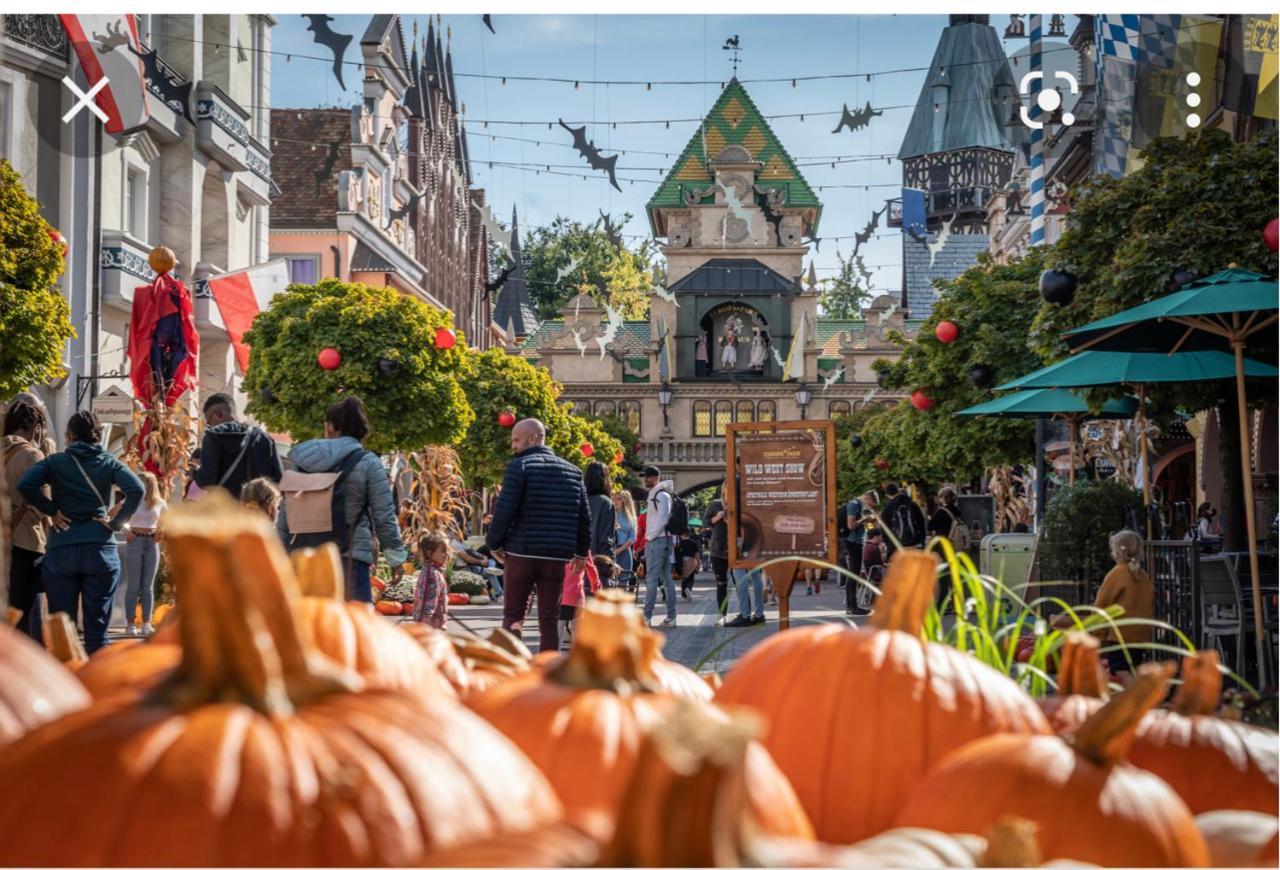 Location Mh Situee A 15 Mn D Europa Park Et Rulantika Daire Boofzheim Dış mekan fotoğraf